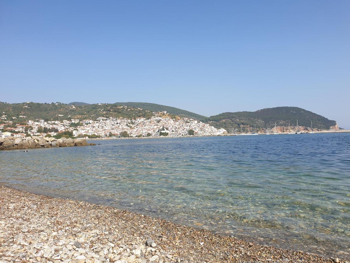Lovely One-Bedroom Flat In Skopelos Extérieur photo